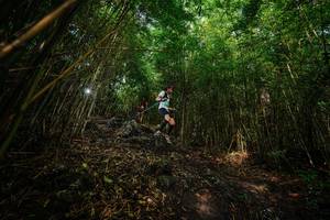 BIB: 
                            <button type="button" onclick="openModal(25102156)" class="btn btn-primary btn-sm float-right btn-popup" data-toggle="modal" data-target=".modal-high-quality">
                        <i class="fas fa-shopping-cart"></i> Add to Cart
                    </button>
                                            <button type="button" onclick="isThisMe(25102156, true)" class="btn btn-success btn-sm float-right btn-popup btn-isme hidden" data-toggle="tooltip" data-placement="bottom" title="นี่คือรูปของคุณใช่ไหม คลิกที่นี่เพื่อเอาเข้าอัลบั้ม">
                        <i class="fas fa-plus"></i> Add to album
                    </button>
                    <button type="button" onclick="isThisMe(25102156, false)" class="btn btn-warning btn-sm float-right btn-popup btn-isnotme hidden">
                        <i class="fas fa-ban"></i> Remove from album
                    </button>